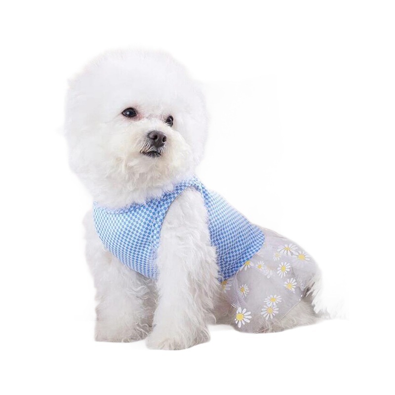Season 4 universal Bichon Frise Teddy pet chiffon skirt, Yorkshire Schnauzer small dog clothing, pet clothing Item Picture