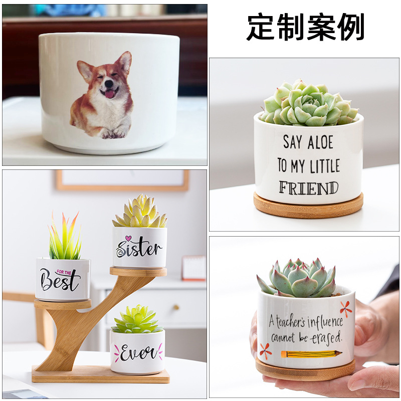 Amazon white porcelain succulent POTS, modern home and garden ceramic small white POTS, cross-border simple succulent POTS wholesale details Picture