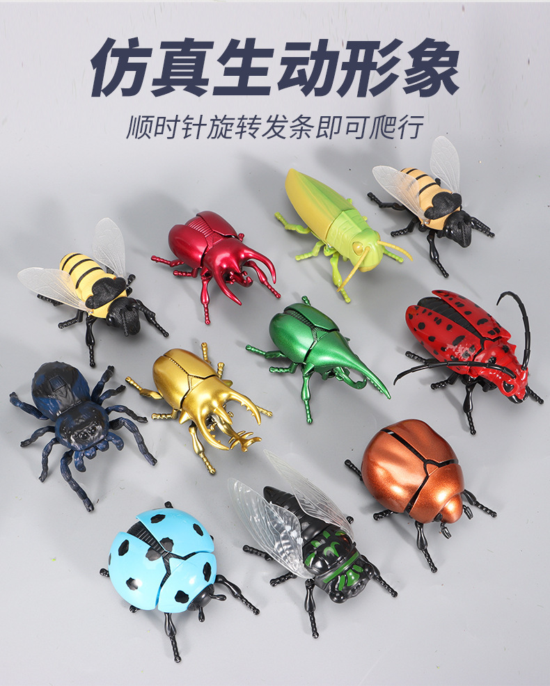 发条昆虫儿童爬行知了玩具模型蝉仿真金龟子上链条甲壳虫七星瓢虫详情2
