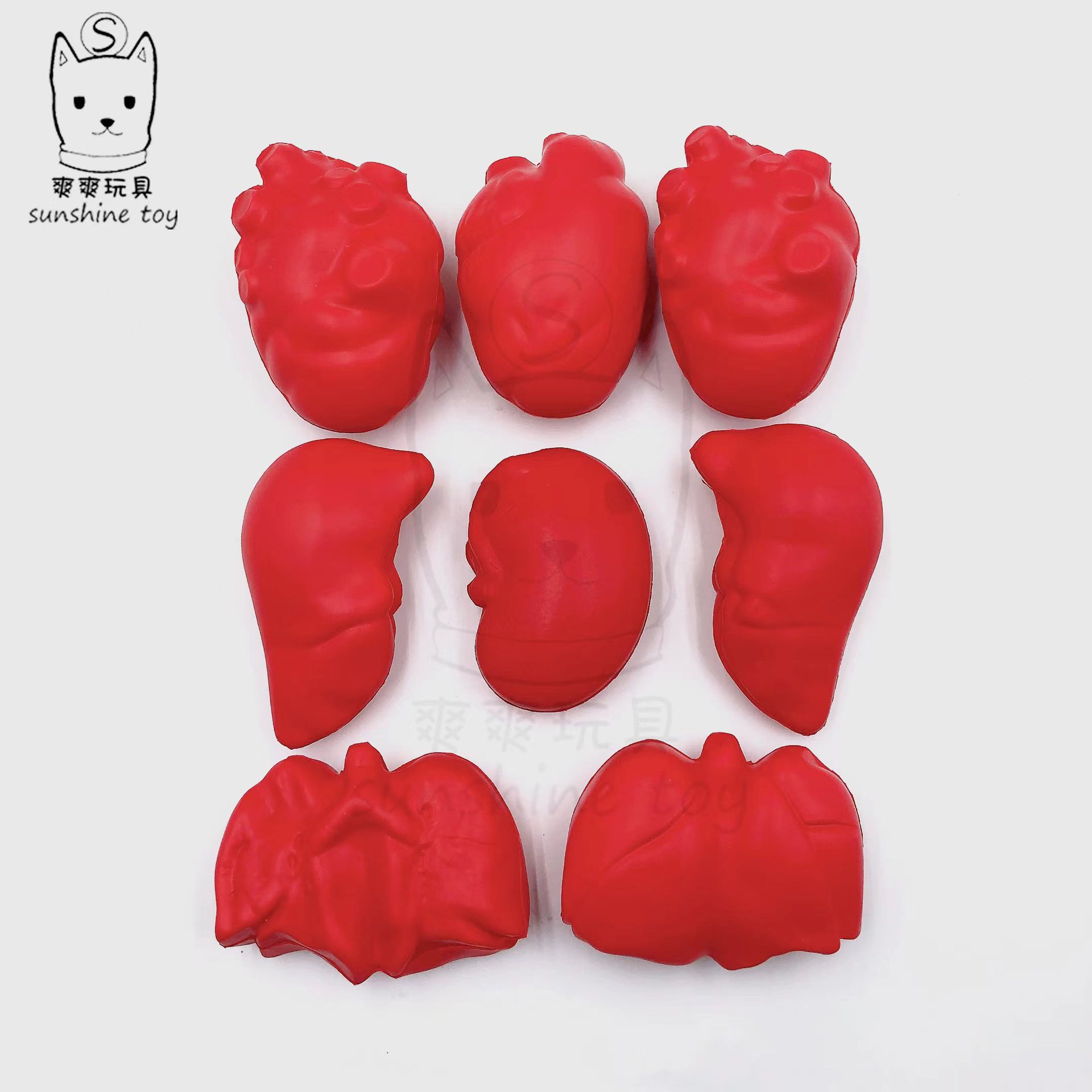 Factory direct sales of PU foam simulation human body accessories, medical teaching AIDS, heart, liver, lung and kidney decompression toys, printed logos Specification image