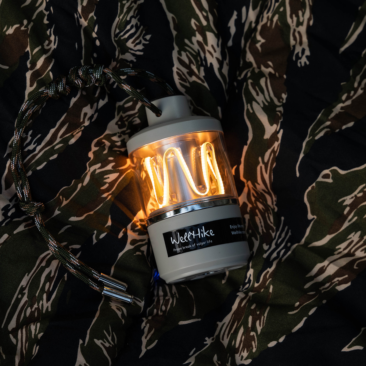 Cross-border outdoor camping lightweight weight lamp, decorative atmosphere table lamp, creative display item, rechargeable night light details Picture