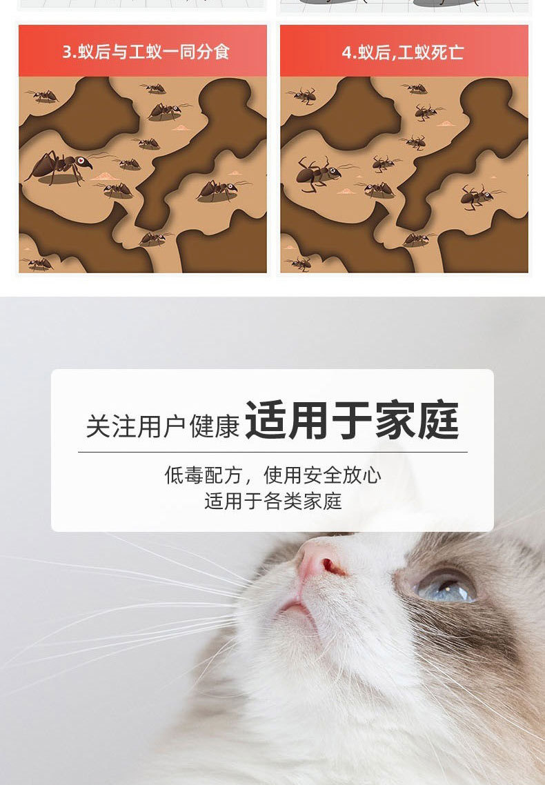 驱蚂蚁药除虫蚂蚁药家用杀蚁饵剂厨房菜地大小红黄黑蚂蚁除虫粉详情6