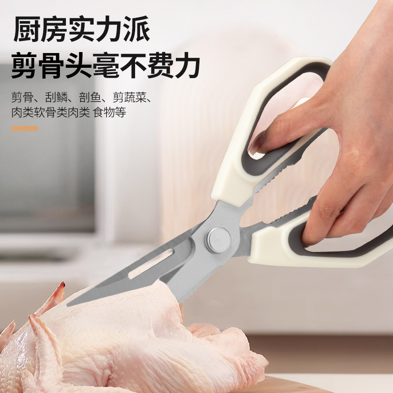 import产品图