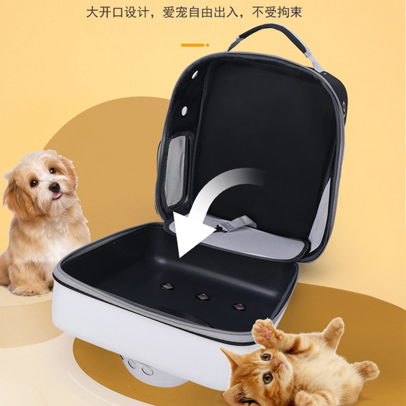 猫猫包、箱实物图