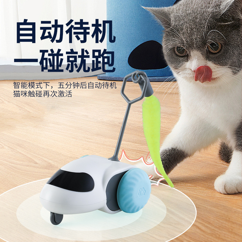 猫猫玩具实物图
