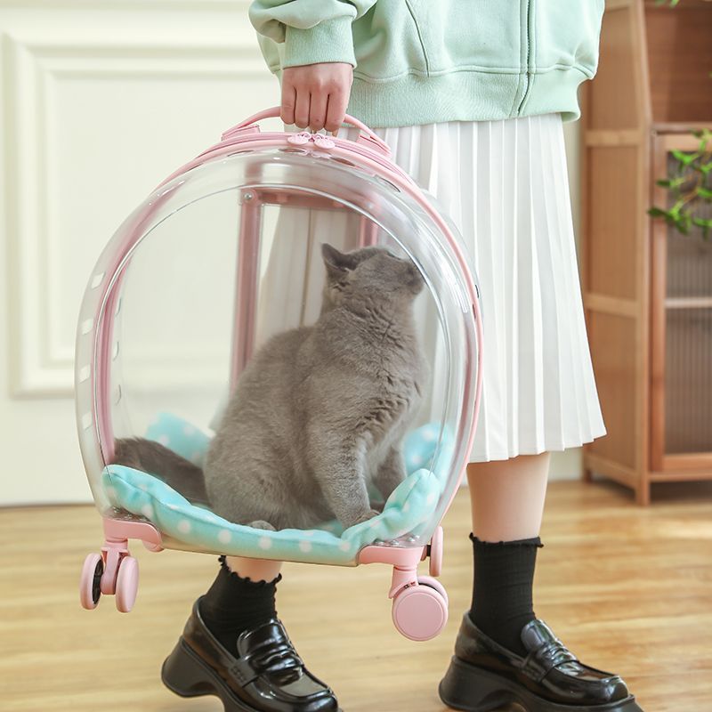 import细节图