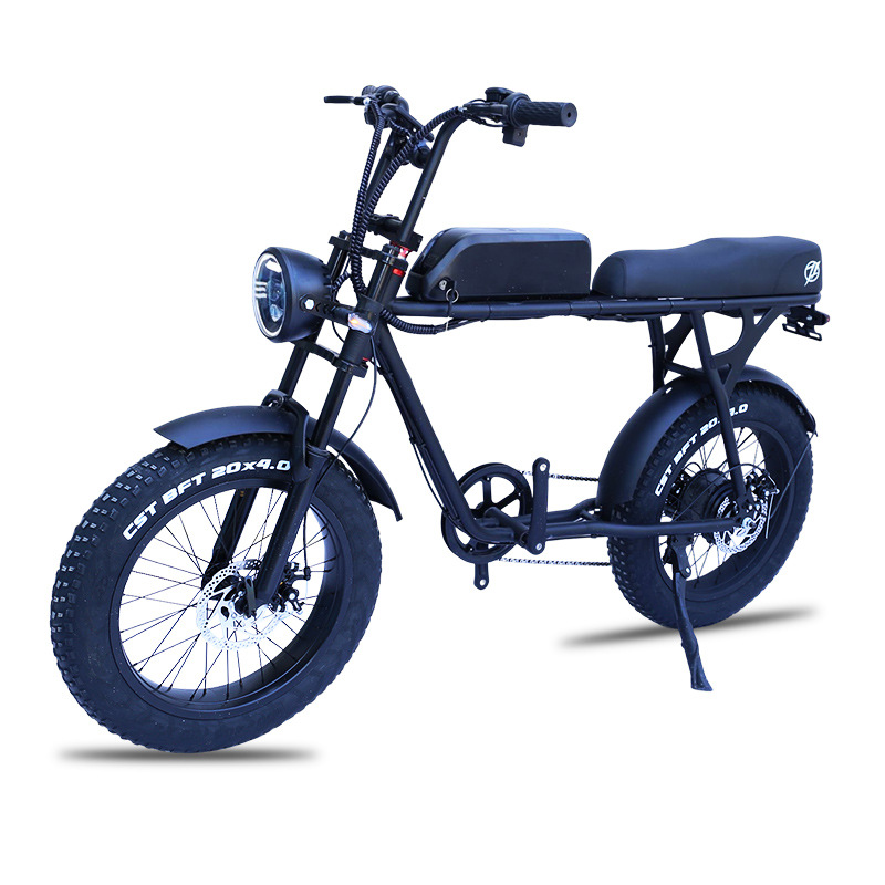 20 Inch Fat Tire Snow Electric Bicycle Variable Speed Folding Power Beach Off-Road Lithium Electric Mountain Bike Application Scenario