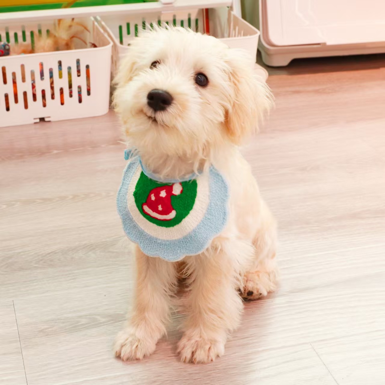 Pet bibs, cat collars, knitted cute cartoon dog wipes, neck accessories, cross-border pet supplies details Picture