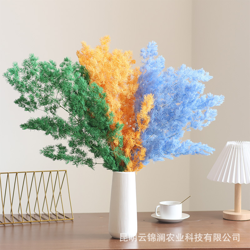 Penglai Pine preserved flower dried flower wholesale from Yunnan manufacturer, cross-border hot sale, Nordic-style home soft decoration flower shop flower materials Application Scenario