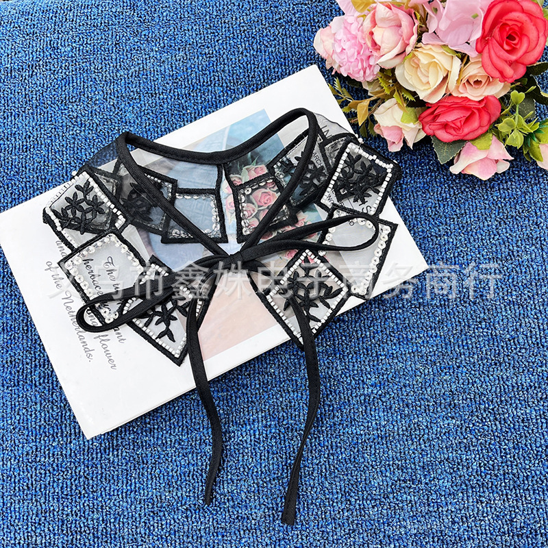 Transparent sequined embroidered women's clothing versatile collar clothing accessories Application Scenario