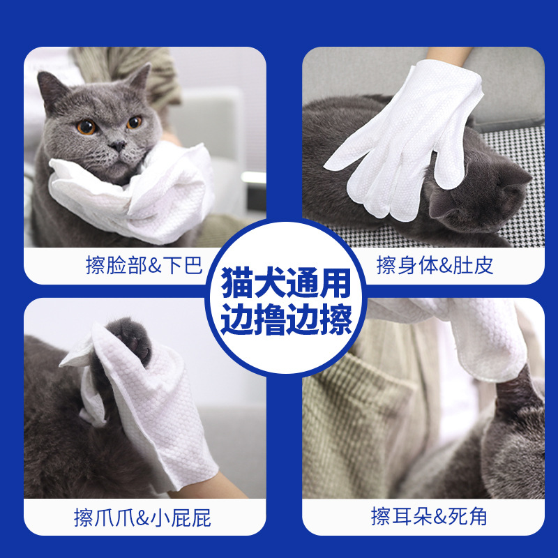 狗狗清洁美容工具实物图