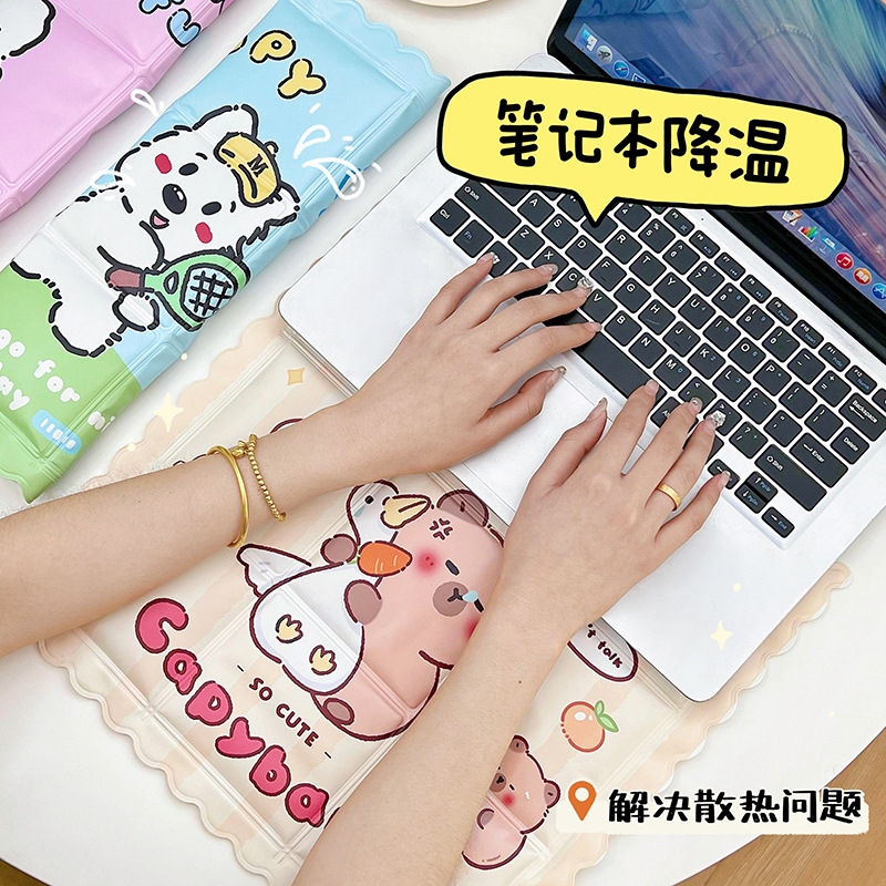 冰垫实物图