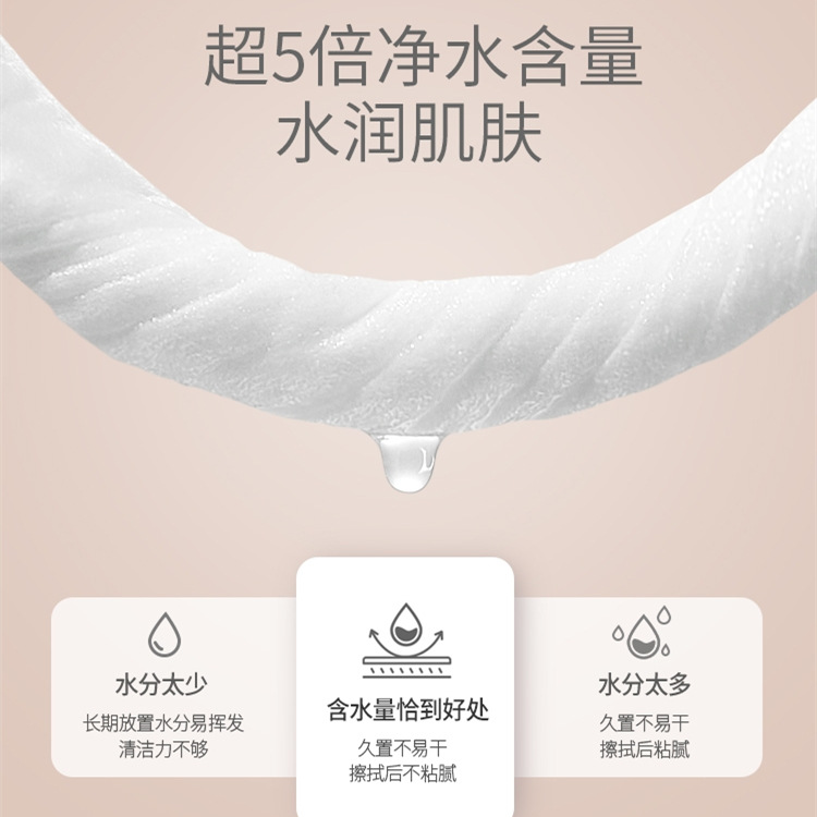 湿巾/纸巾/湿纸巾/湿巾湿纸巾/酒精湿巾产品图