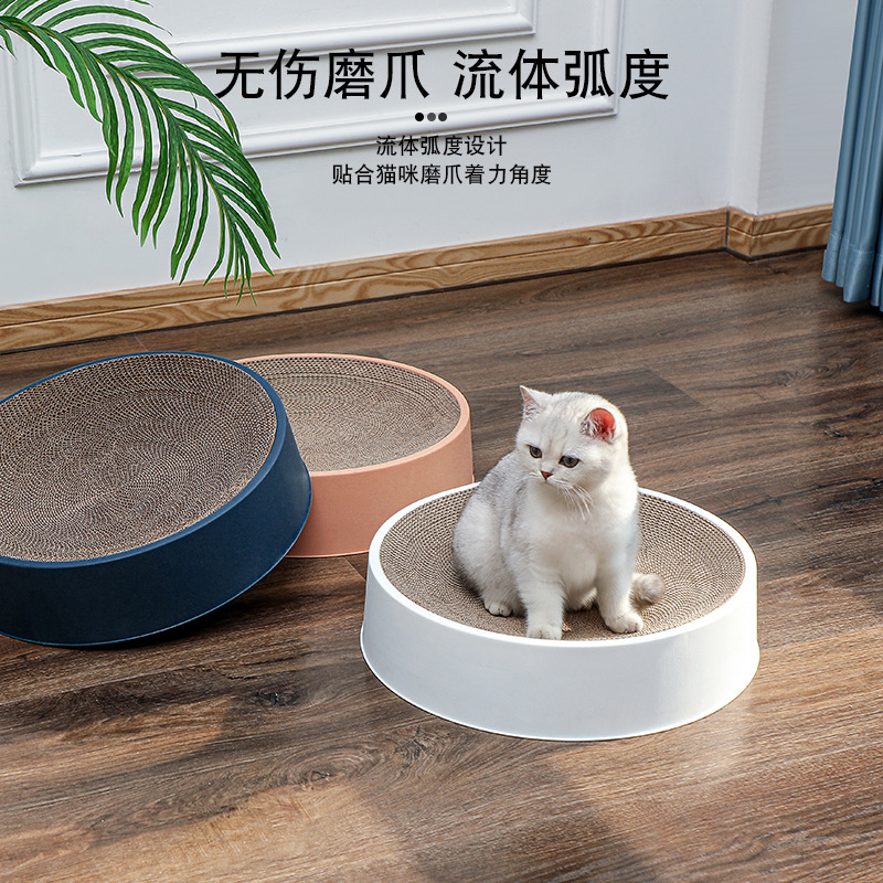 猫猫玩具实物图