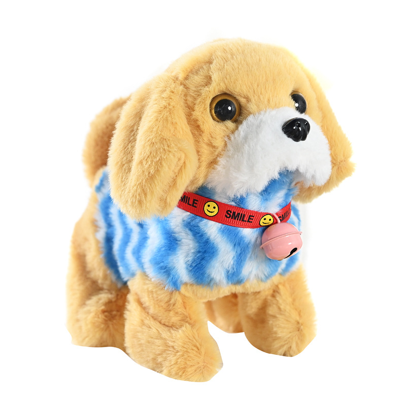 import白底实物图