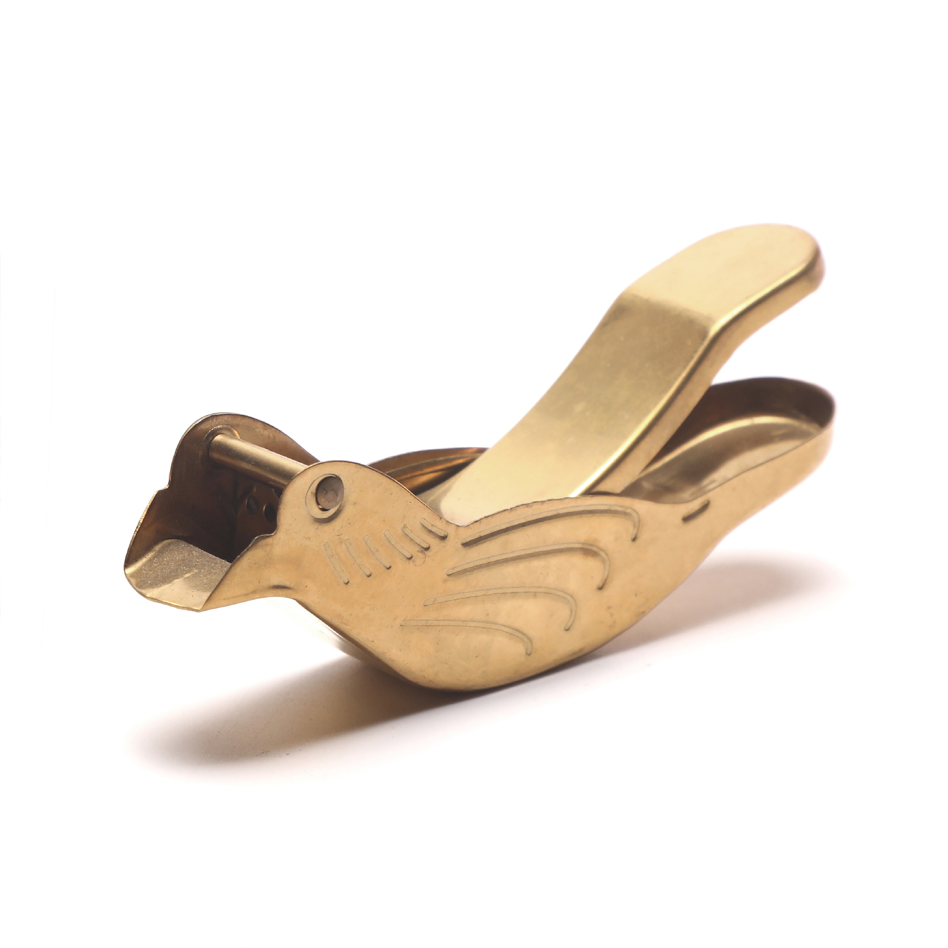 Factory direct sales of bird-shaped juicer made of stainless steel 304, creative and convenient for office and home use Application Scenario