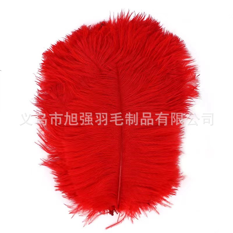 Spot 15-20Cm Color Ostrich Feather Diy Hair Accessories Accessories Wholesale Feathers Spot Manufacturers Direct Sales details Picture