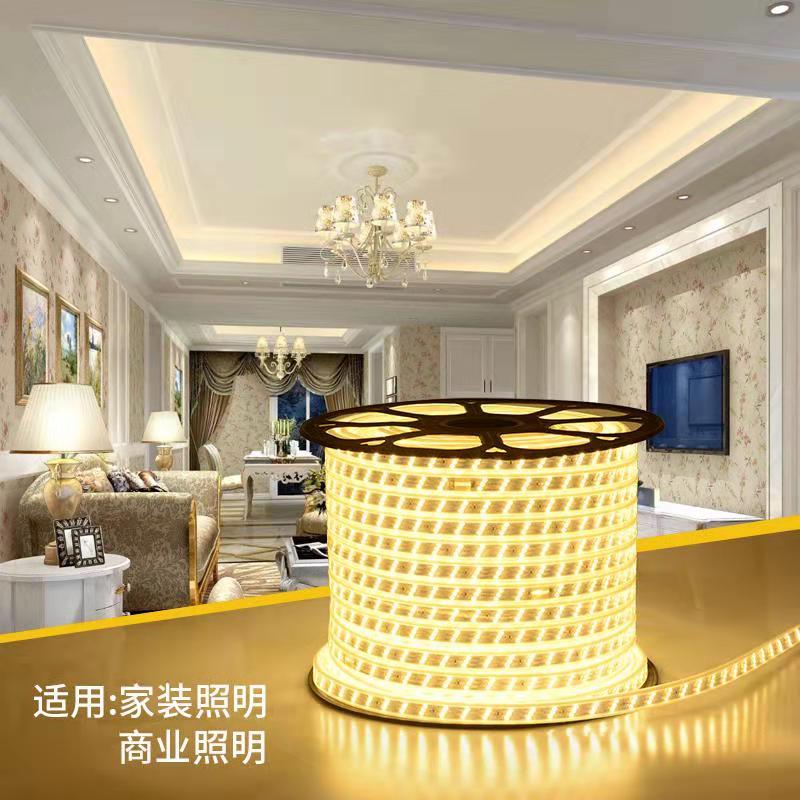 节日灯户外/橡胶灯串/室外弥红灯/LED/圣诞灯细节图