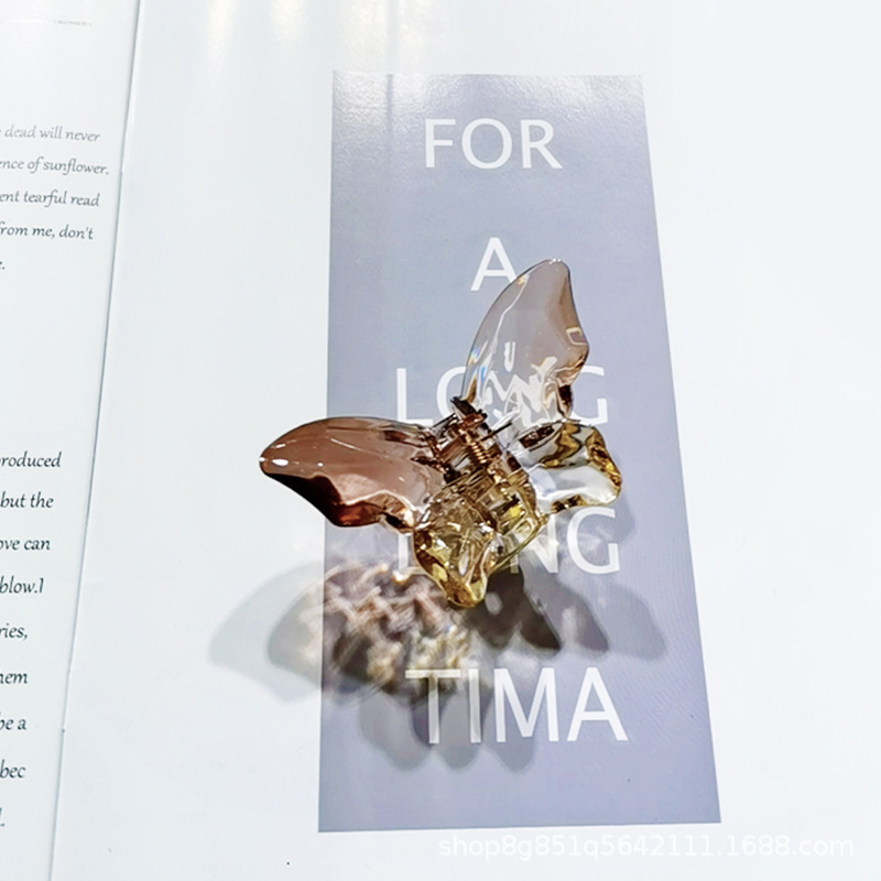 The New Japanese And Korean Internet Celebrity Ins Rainbow Gradient Color Medium Small Claw 4Cm Clip Clip Hair Top Clip Clip Hair Accessories Item Picture