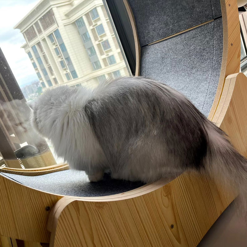 猫猫玩具实物图