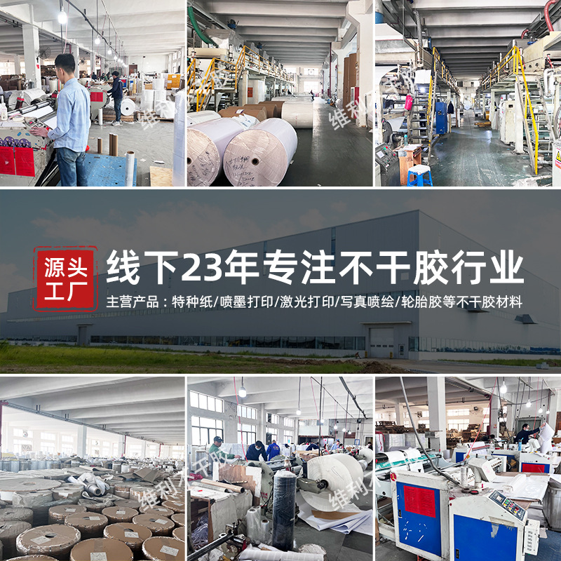 可可豆实物图