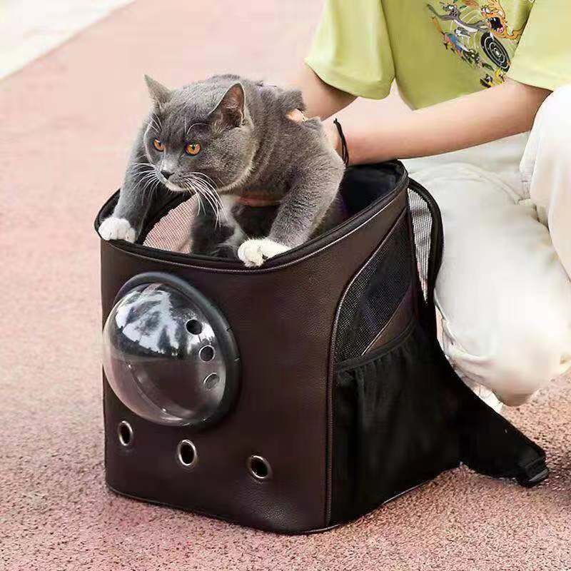 猫包宠物外出/宠物双肩背包/便携猫包白底实物图