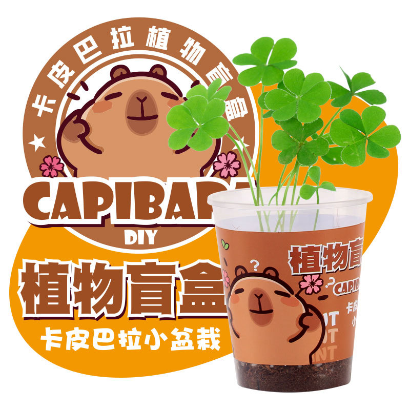 import细节图