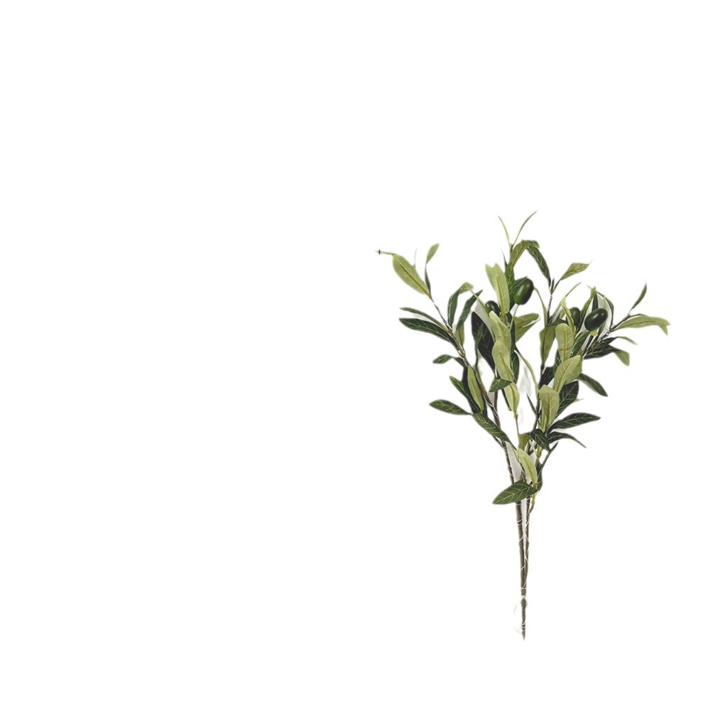 import白底实物图