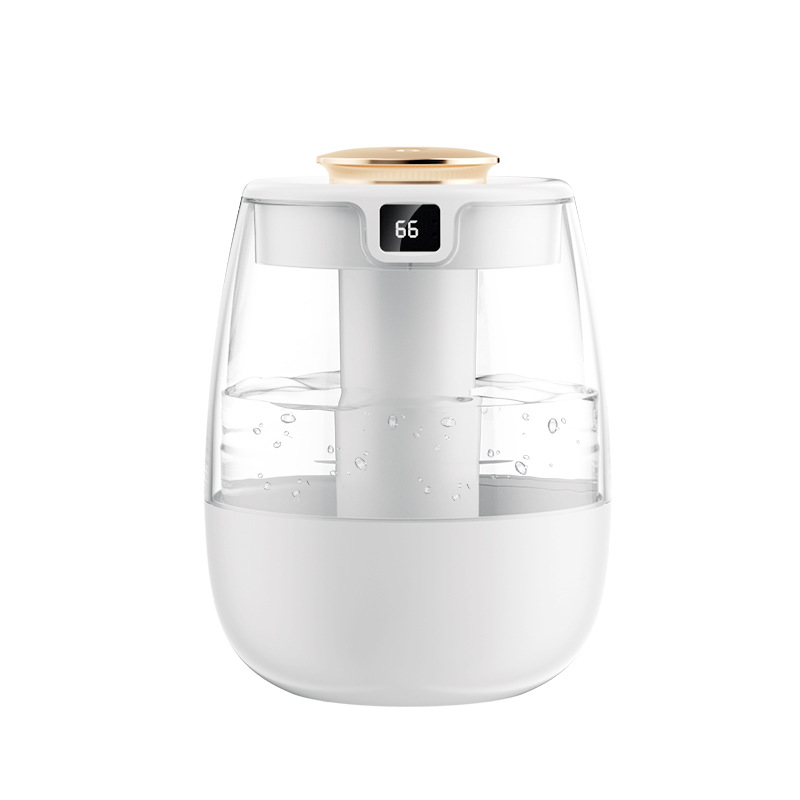 import白底实物图