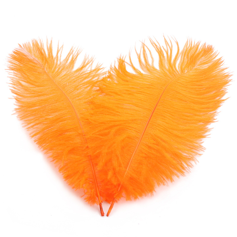 天然珍珠/超粗毛条/蛋糕插枝/孔雀羽毛/彩色羽毛细节图