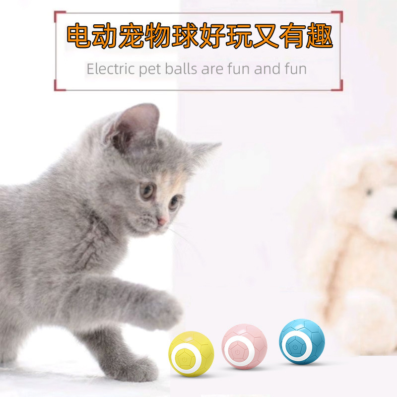猫猫玩具实物图