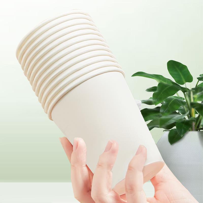 Paper cup household disposable cup commercial office paper cup tea cup reception cup 500 only details Picture