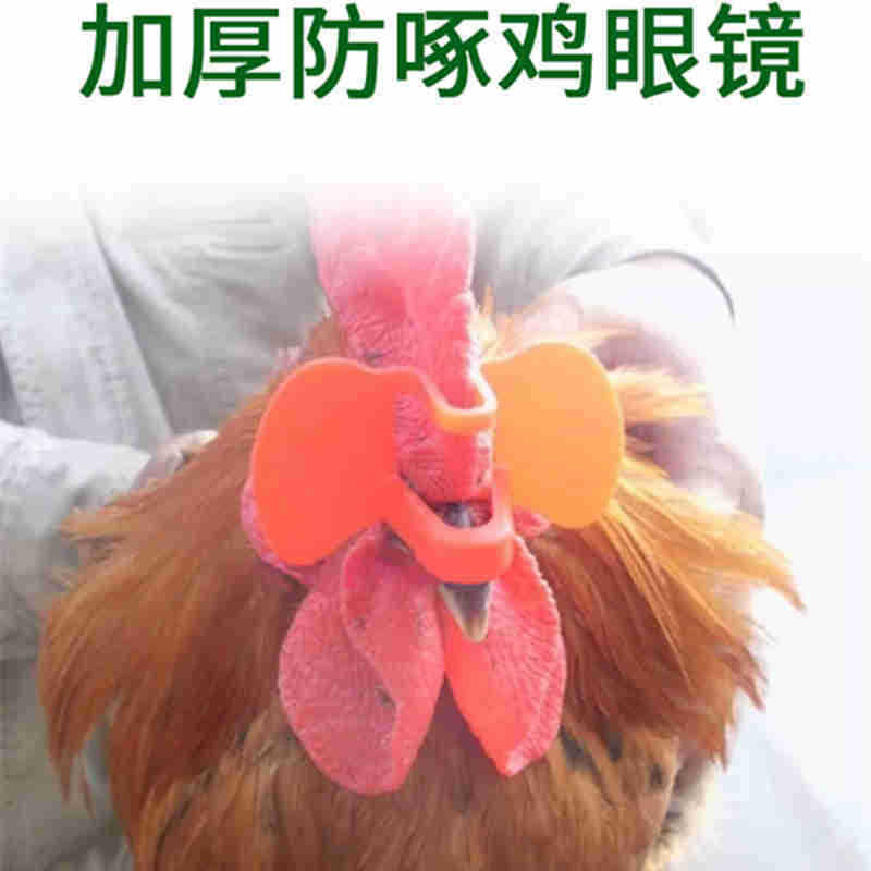 防啄鸡眼镜 防啄鸡眼罩 中号带孔鸡眼睛 野鸡眼镜鸡眼罩产品图