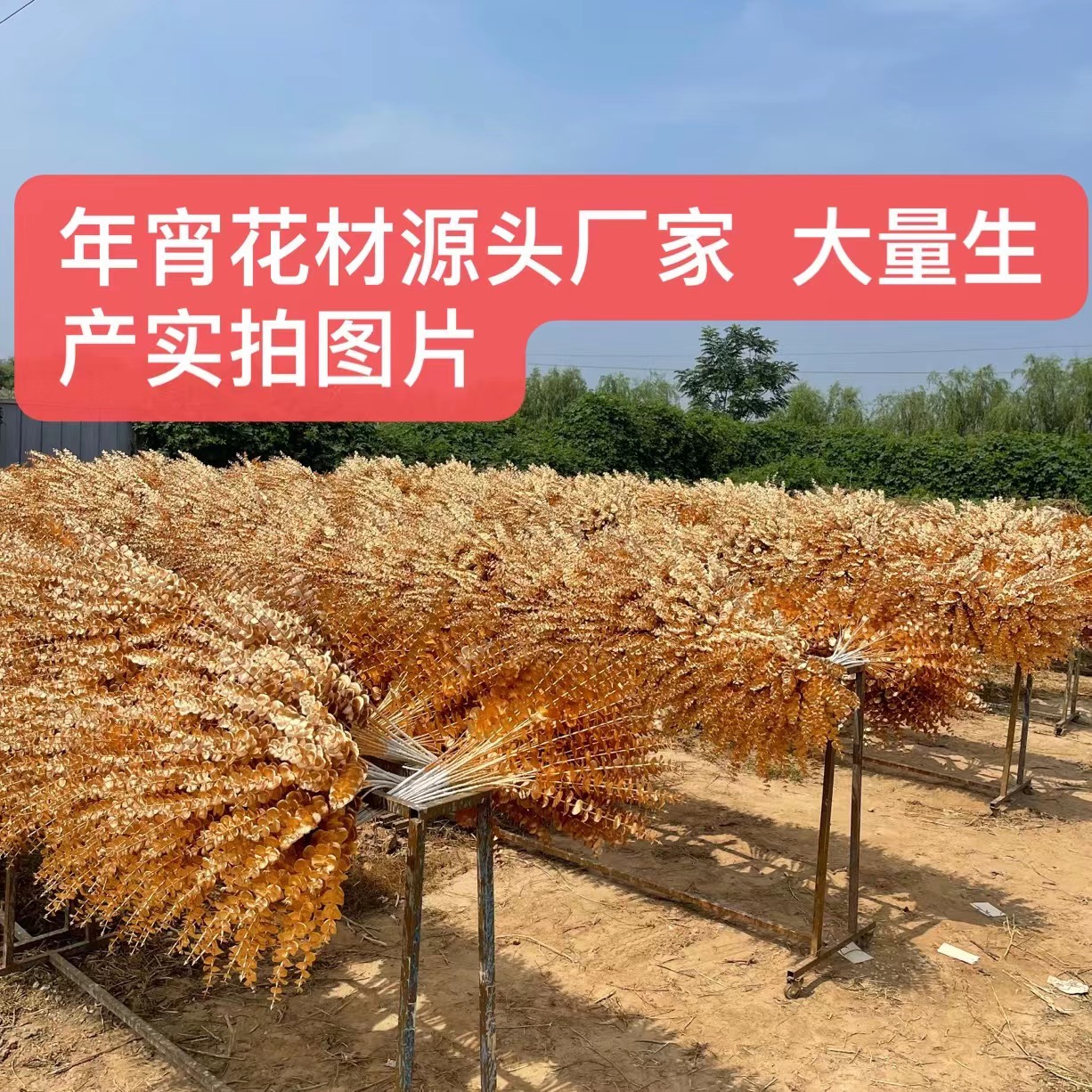 仿真红果子发产品图