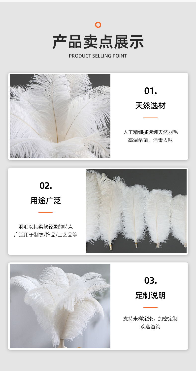 简约风优质细杆鸵鸟毛15-60cm白色羽毛可手工DIY居家摆件插花批发详情7