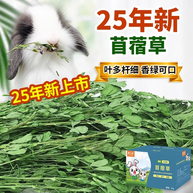 25年新草烘干紫花苜蓿草兔子龙猫豚鼠兔兔食用干草牧草食物1kg