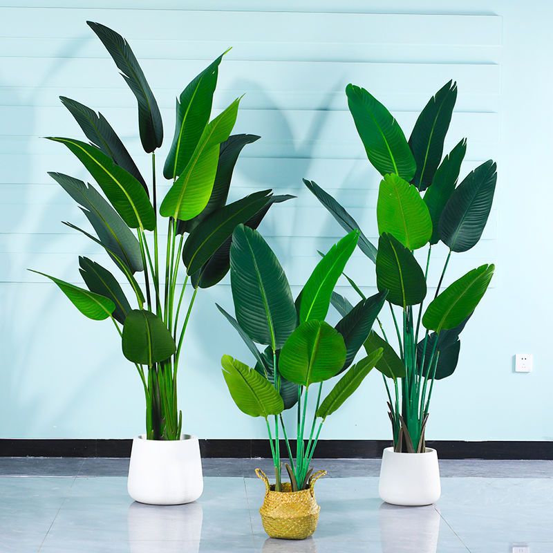 仿真芭蕉树欧/仿真槐树叶婚/仿真盆栽绿植产品图