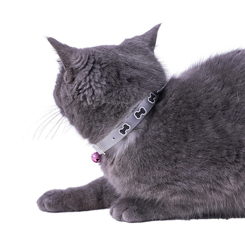 硅胶荧光猫项白底实物图