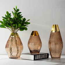 软装轻奢镀金玻璃花瓶摆件透明彩色插花瓶工艺品样板房家居装饰品