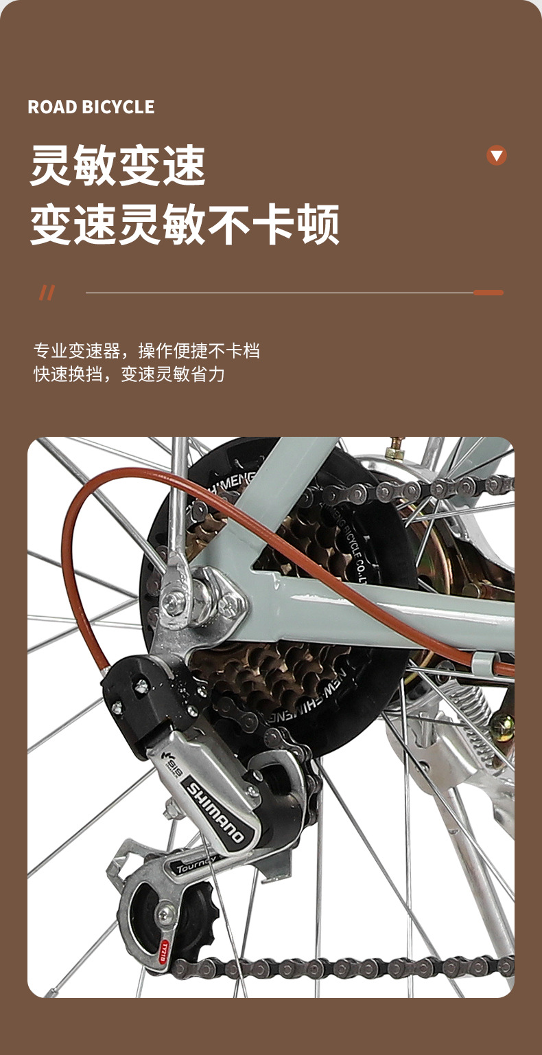 Premium bicycles, seven-speed commuter bicycles for export, variable-speed bicycles can be affixed with customer labels, old-fashioned and retro pic 7