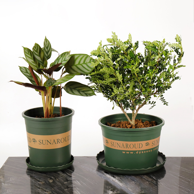 Gallon Pot Plastic Planter Succulent Green Flower Pot Balcony Planting Flowers Planting Vegetables Rose Turtle Back Bamboo Pot Wholesale details Picture