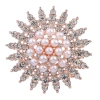 Suit brooches, women's sunglasses, goddess corsages, anti-glare round rhinestones, wholesale of clothing accessories, anti-glare pins Item Picture