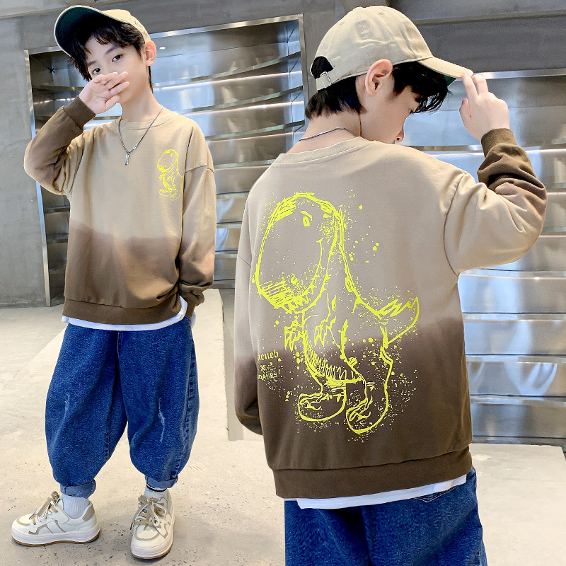 2022 Autumn Boys' long-sleeved T-shirt, Cotton casual, gradient hoodie, Primary School students' autumn base layer 8 Application Scenario