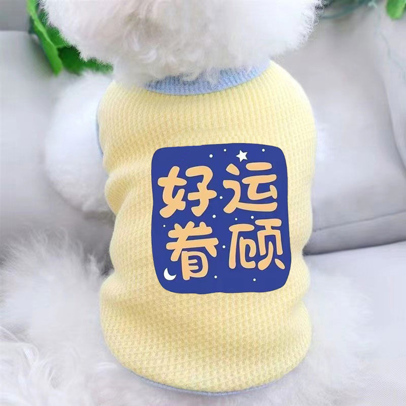 import细节图