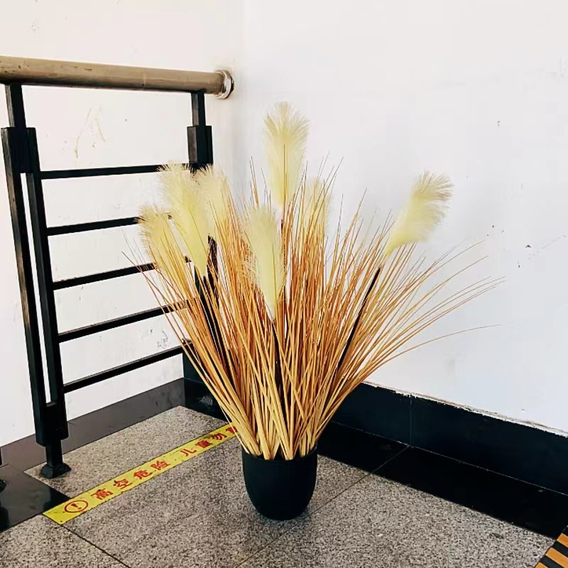工厂店盆栽批发植物草盆洋葱草全黄冬色装饰芦苇软装造景拍摄道具