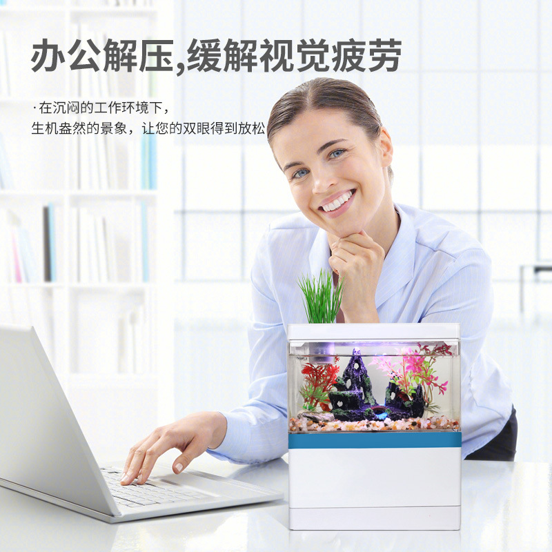 桌面小型鱼缸/水族观赏鱼底/迷你水族箱细节图