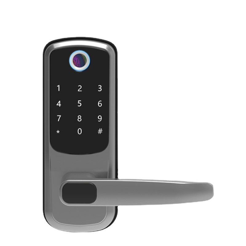 Cross-border bedroom fingerprint lock, universal lock, IC card lock, graffiti WiFi, apartment rental, password lock, mobile phone remote control Item Picture