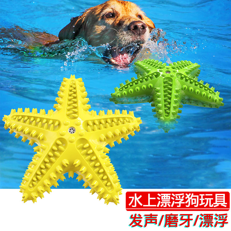 Amazon, a pet supplies manufacturer, offers floating dog teething sticks, sound-making dog toys, and pet toothbrushes details Picture