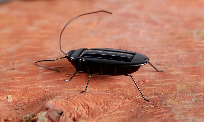 Direct For Children's Toys Solar Toy Cockroach Small Strong Children's Toys Science Experiment Explore Creative Gifts Specification drawing