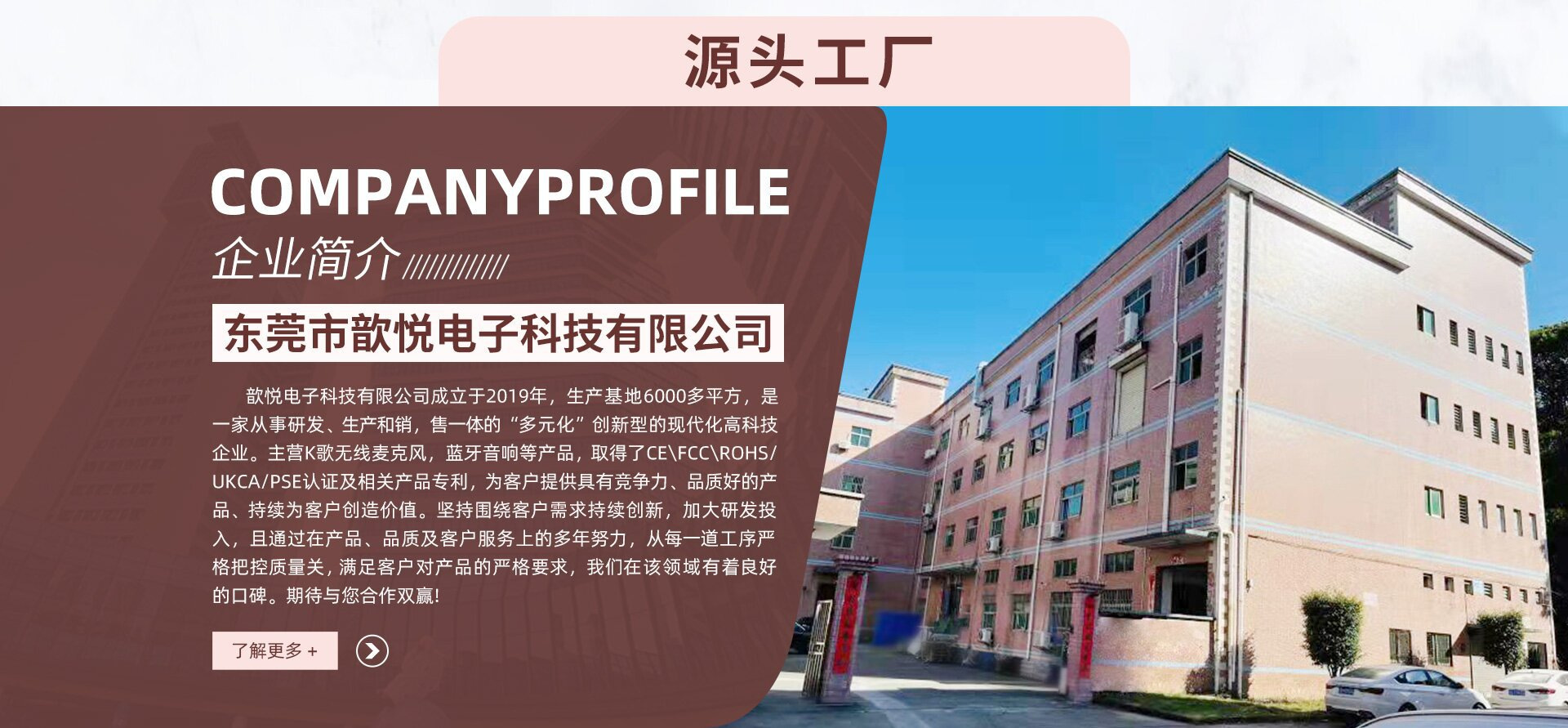 定制P2无线蓝牙音响家庭ktv话筒一体麦克风组合手机K歌神器专用详情6